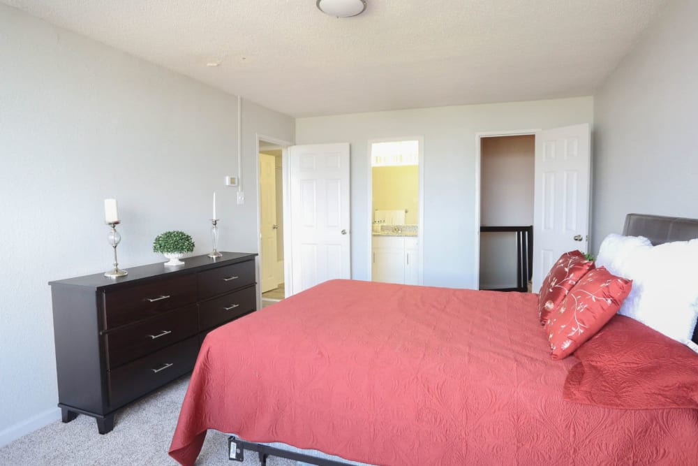 Carpeted bedroom with ample closet space at Hague Towers in Norfolk, Virginia