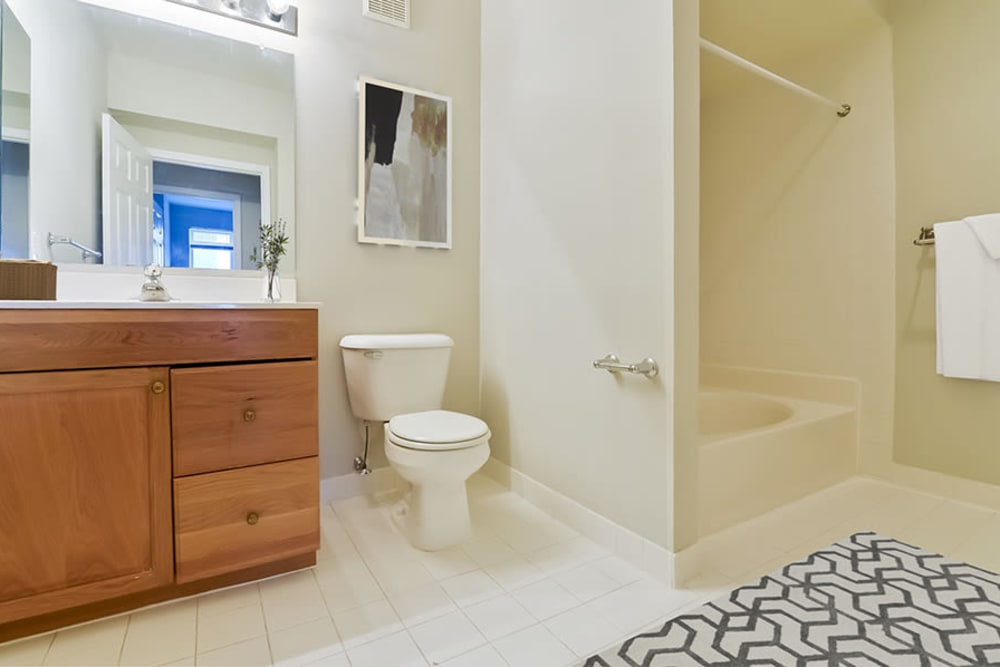 Spacious bathroom at Bishop's View Apartments & Townhomes in Cherry Hill, NJ
