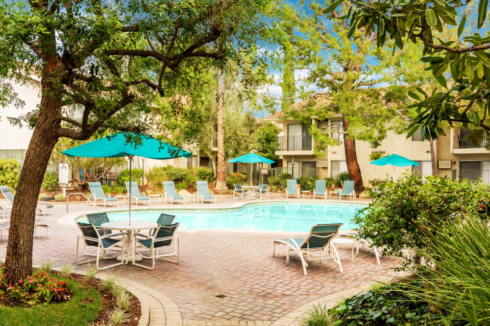 Mature trees and umbrellas providing shade at the swimming pool area at Village Pointe in Northridge, California