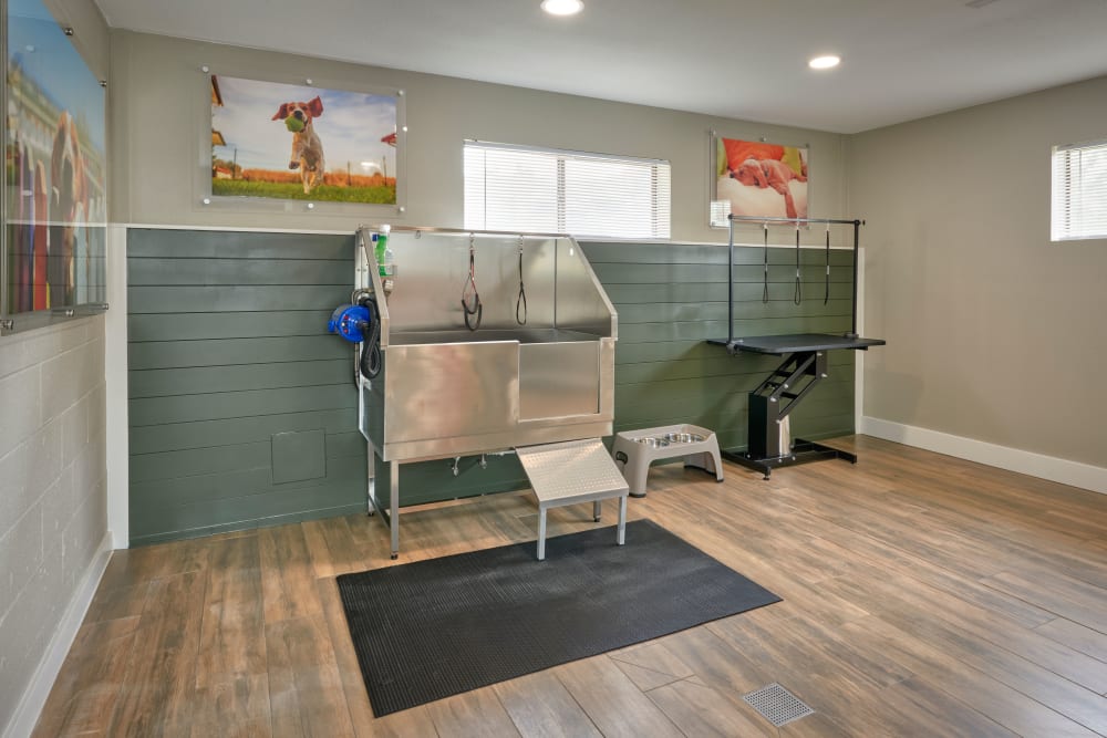 Pet Wash Room at Alton Green Apartments in Denver, Colorado