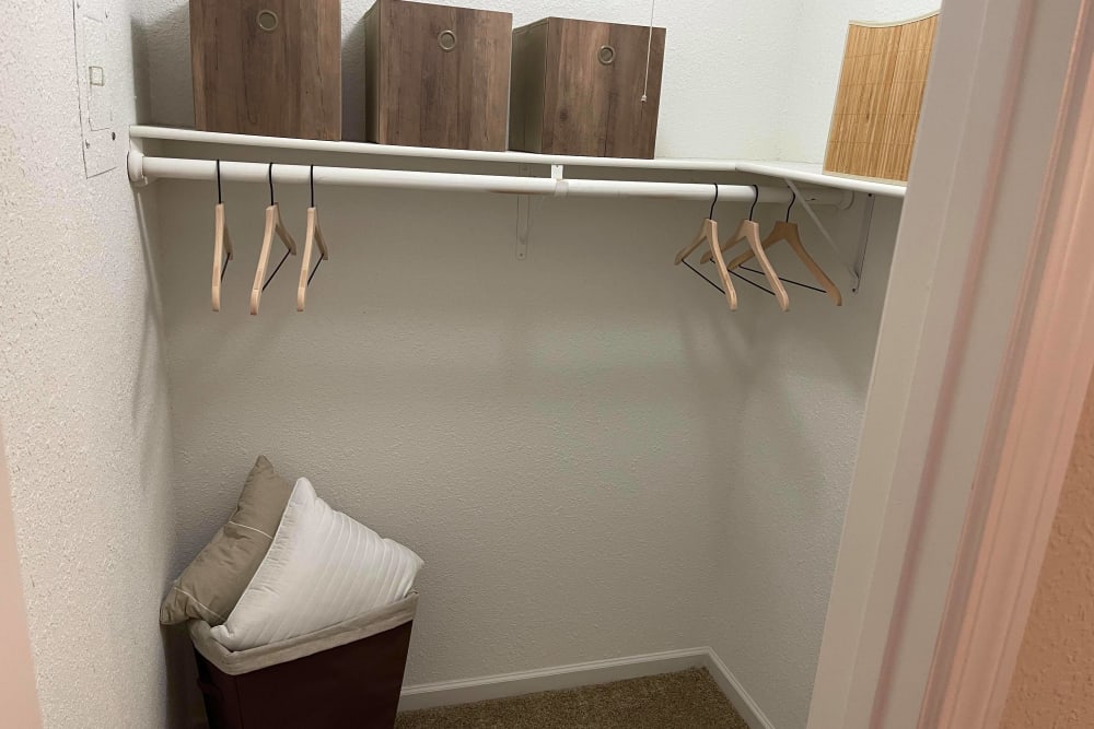 Spacious Walk-In Closets at The Abbey at Jones Road in Houston, Texas