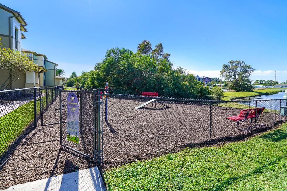 The on-site dog park at Verandahs of Brighton Bay in St. Petersburg, Florida