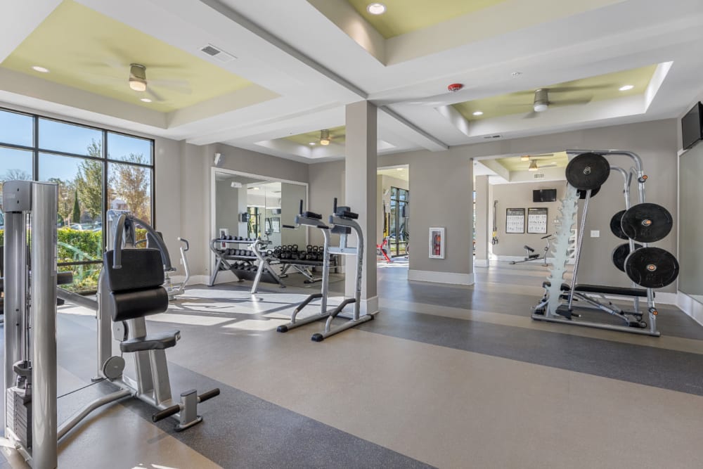 Assisted weight machines and free weight station in fitness room at Marq at Crabtree in Raleigh, North Carolina
