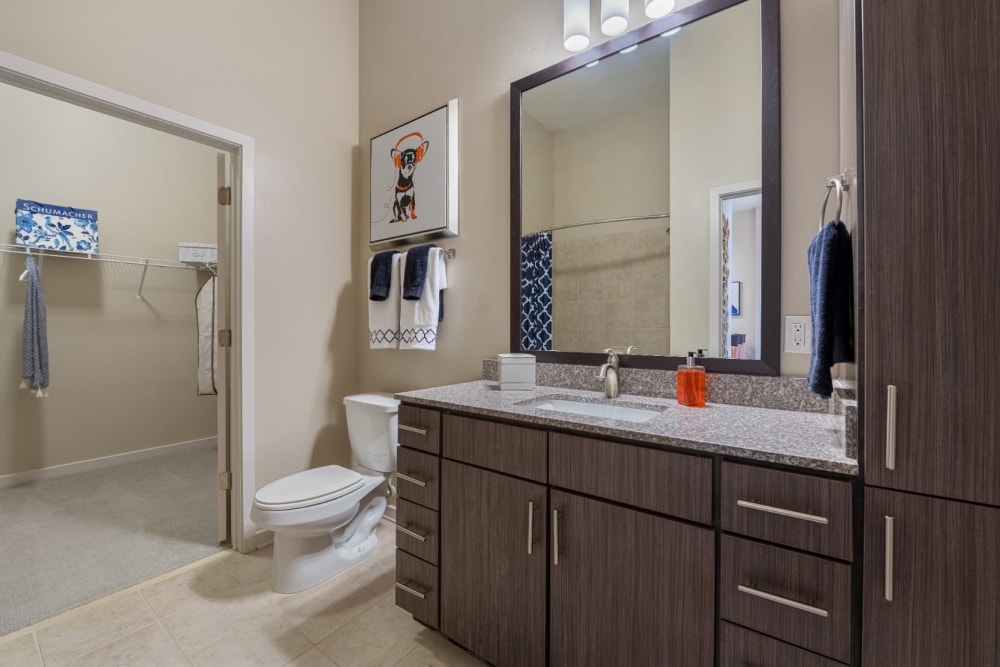 Bathroom with granite counter and entry to walk-in closet at Marq at Crabtree in Raleigh, North Carolina