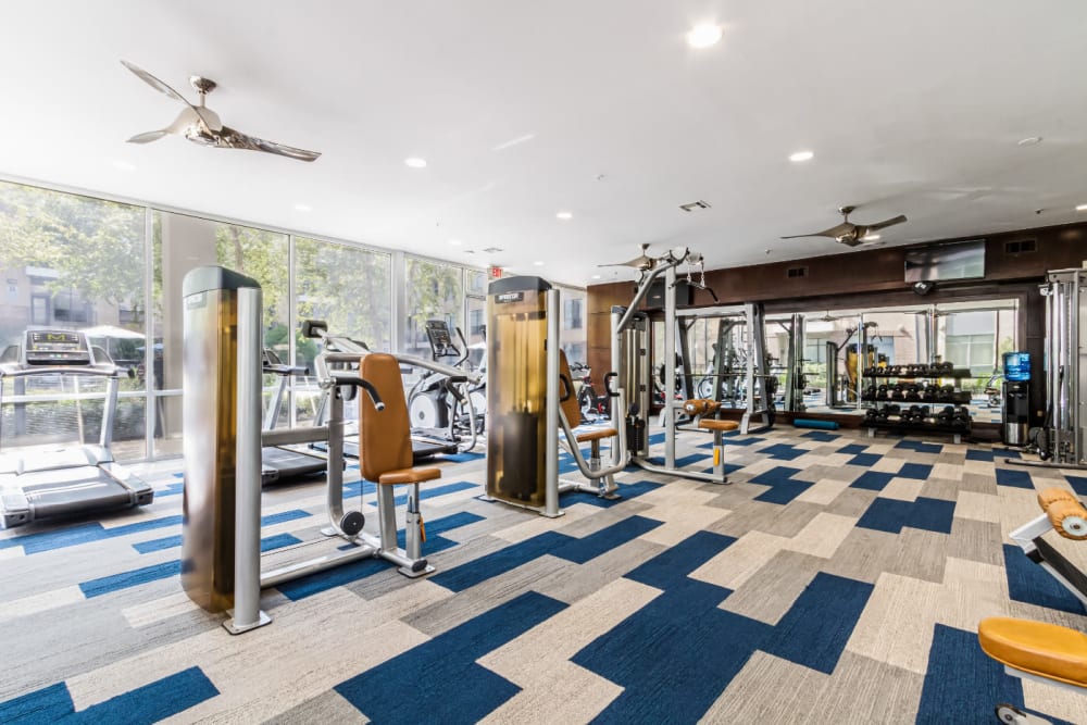 Assisted weight machines and cardio machines in large fitness room at The Marq on Voss in Houston, Texas