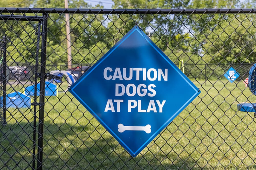 Dog park at Glenbrook Manor in Rochester, New York