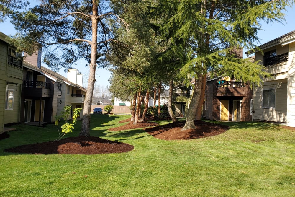 Lush landscapes at Valley Commons Apartments in Marysville, Washington