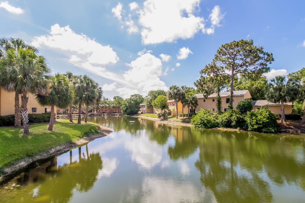 View of a lake near Melrose on the Bay Apartment Homes in Clearwater, Florida