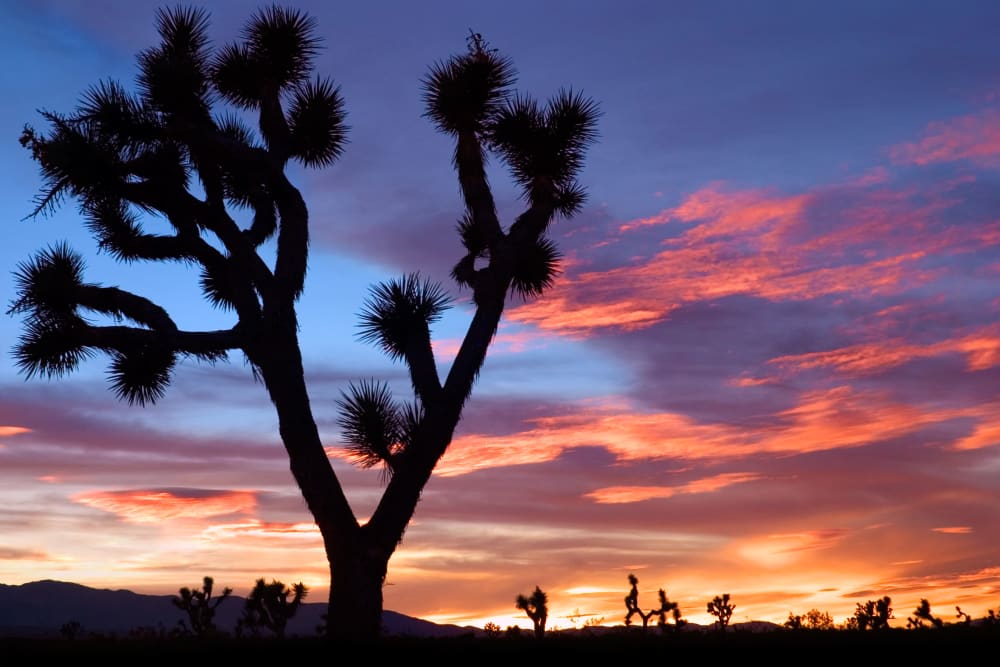 Beautiful desert sunset near Mountain Vista in Victorville, California