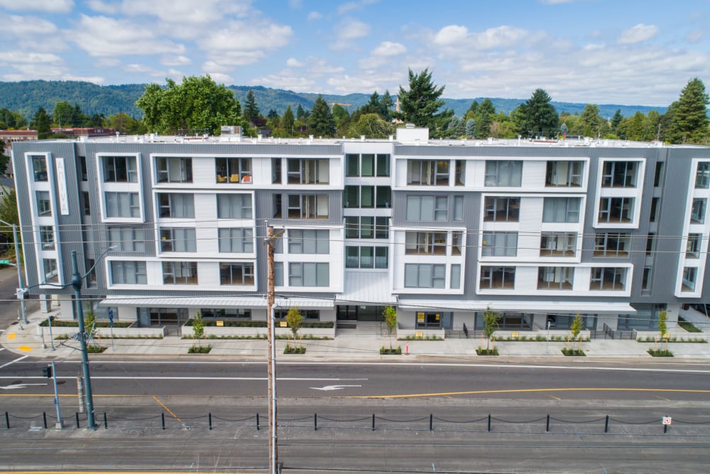Photos Of Aniva In Portland Or