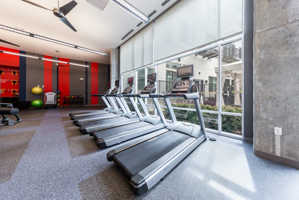 Treadmills lined up in front of large window at Marq on Burnet in Austin, Texas