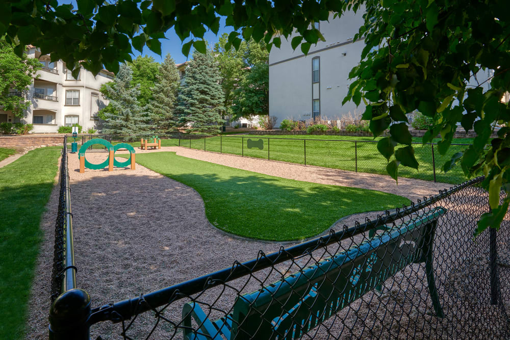 The dog park for your furry friend at Altitude Westminster in Westminster, Colorado