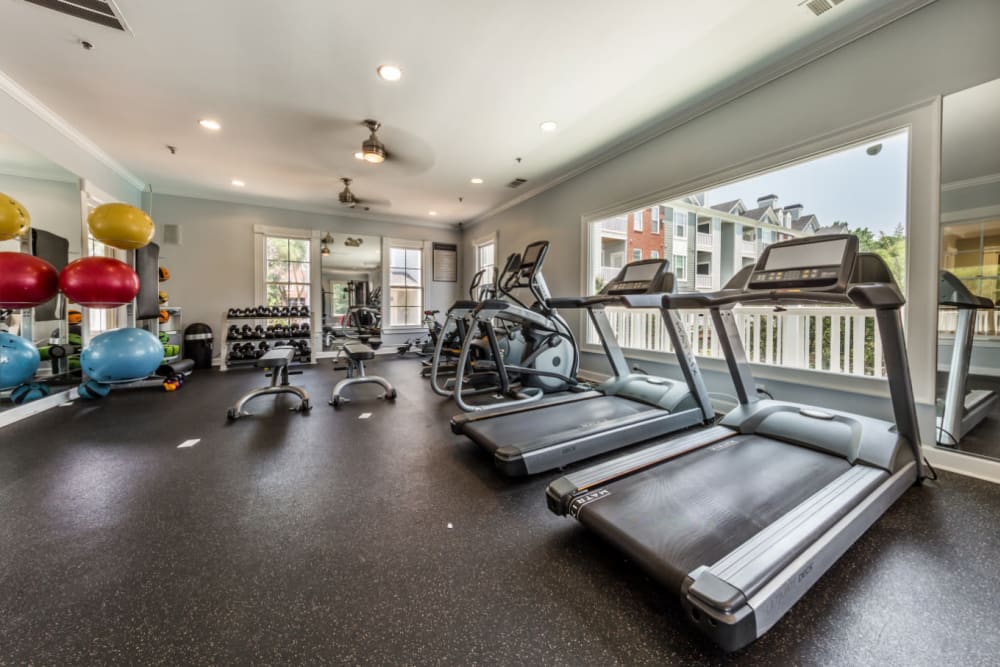 Treadmills set in front of window at The Marq at Brookhaven in Atlanta, Georgia