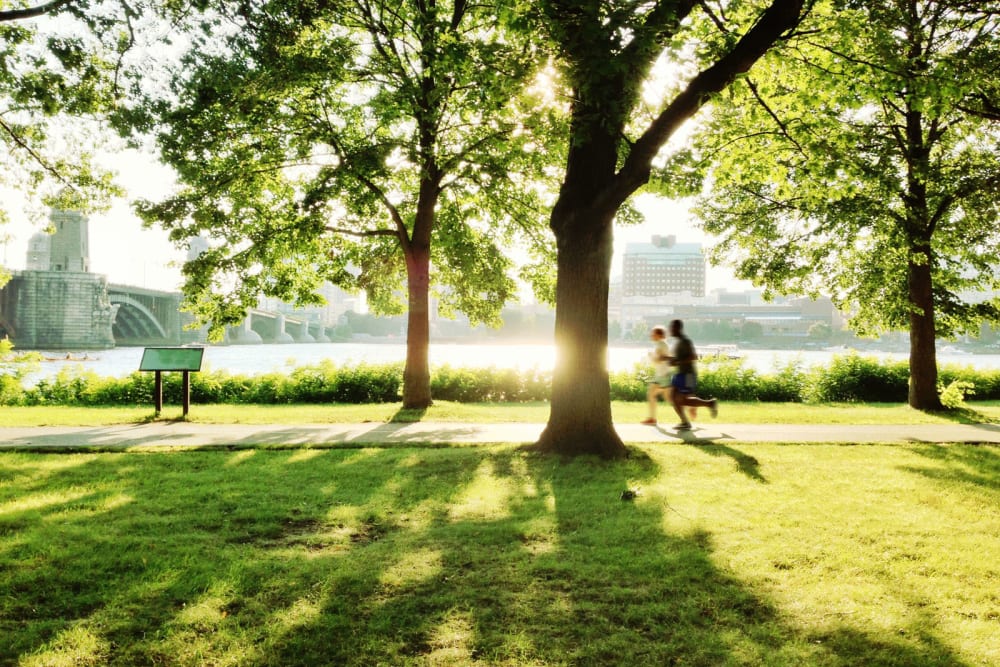 Residents jogging through a tree-lined park along the water near Sage at Cypress Cay in Lutz, Florida