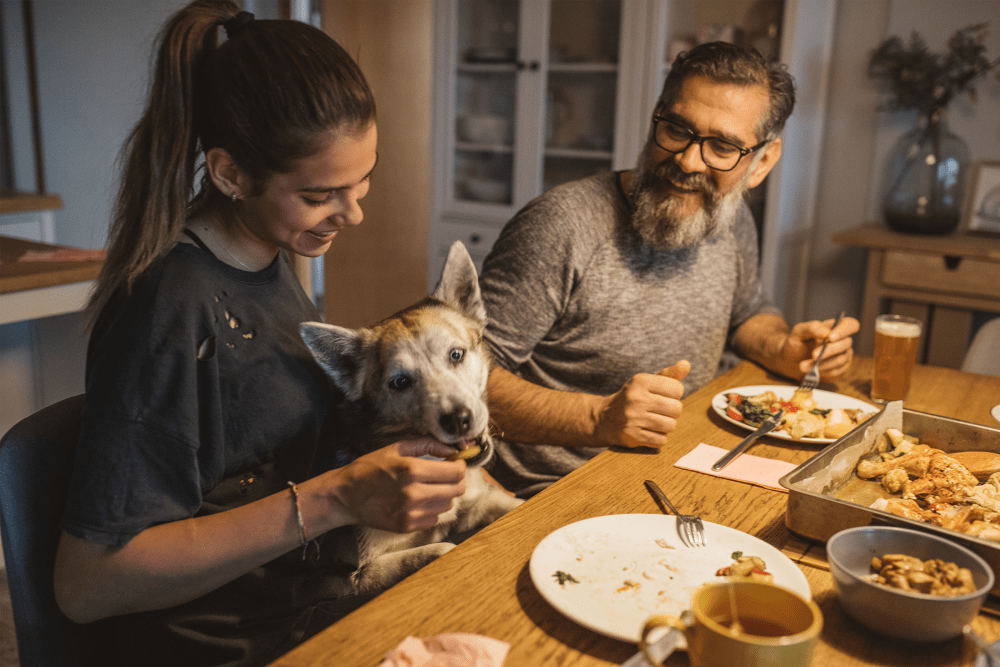 Couple and their dog eating dinner at The Residences at Sawmill Station in Morton Grove, Illinois