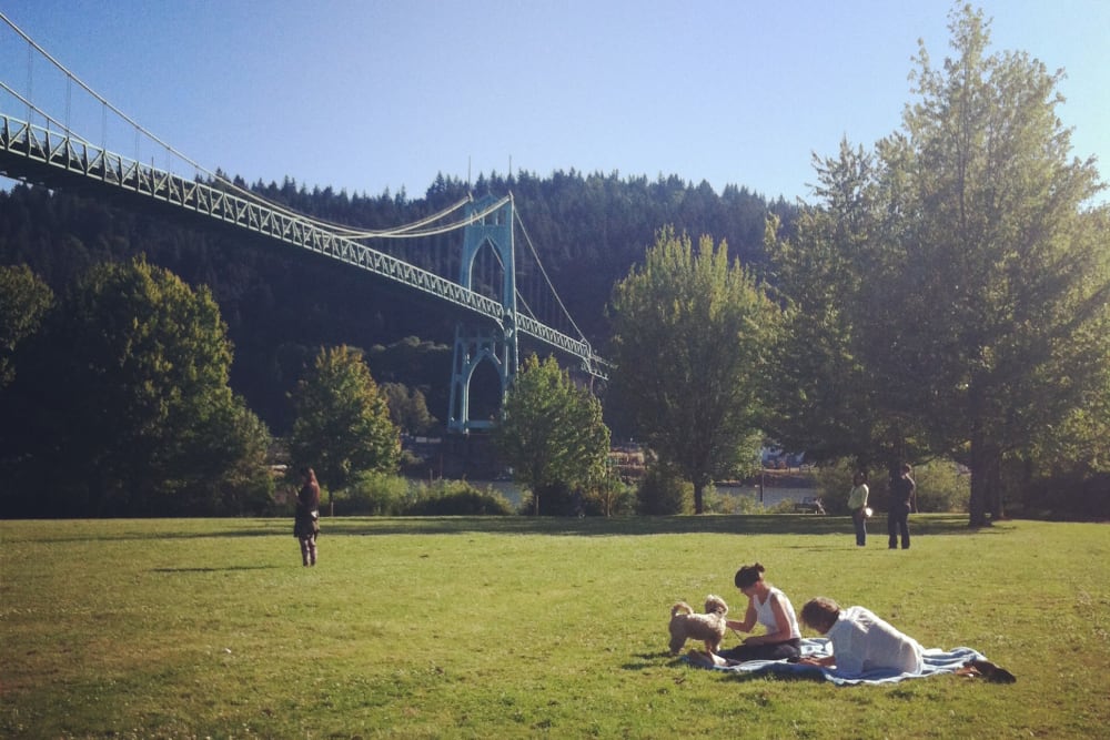 Residents at a park in Portland, Oregon near Marvel 29