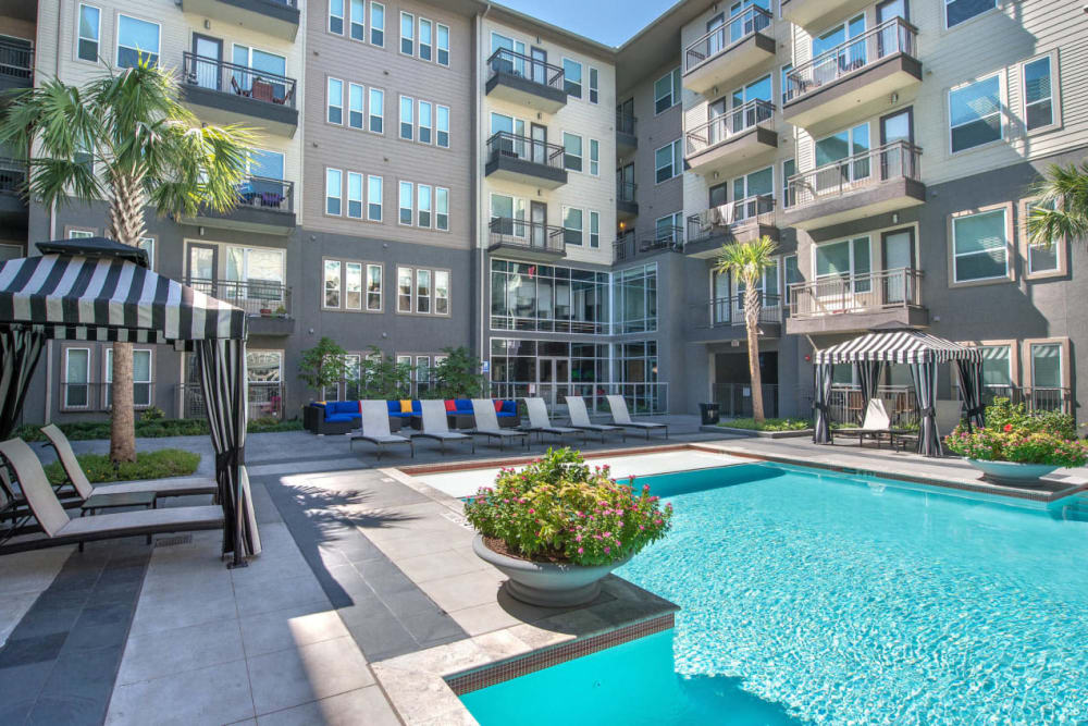 Large, resort style swimming pool surrounded by lounge chairs at Macallan at Ross in Dallas, Texas
