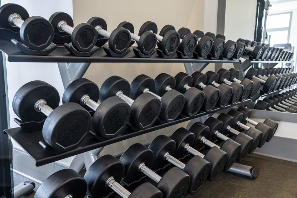 Full set of weights at the fitness center at Parc at Murfreesboro in Murfreesboro, Tennessee