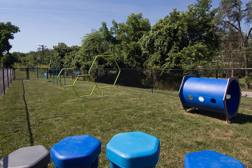 Dog park with agility equipment at Park Place of South Park in South Park, Pennsylvania