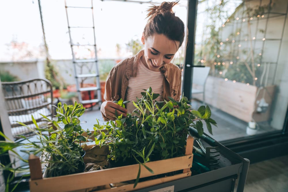 Resident tending to her plants on the private balcony outside her student apartment at IDENTITY Logan Park in Berkeley, California