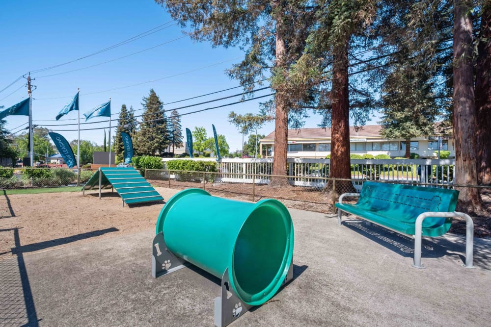 Playground at Haven Martinez in Martinez, California
