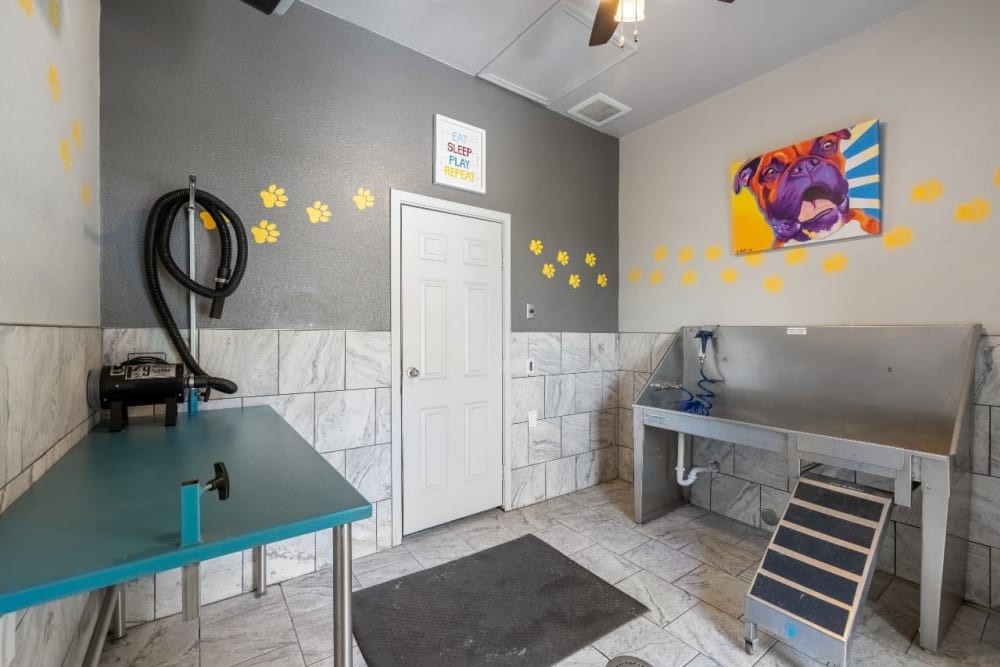 Dog grooming and bathing station at Marquis at Town Centre
