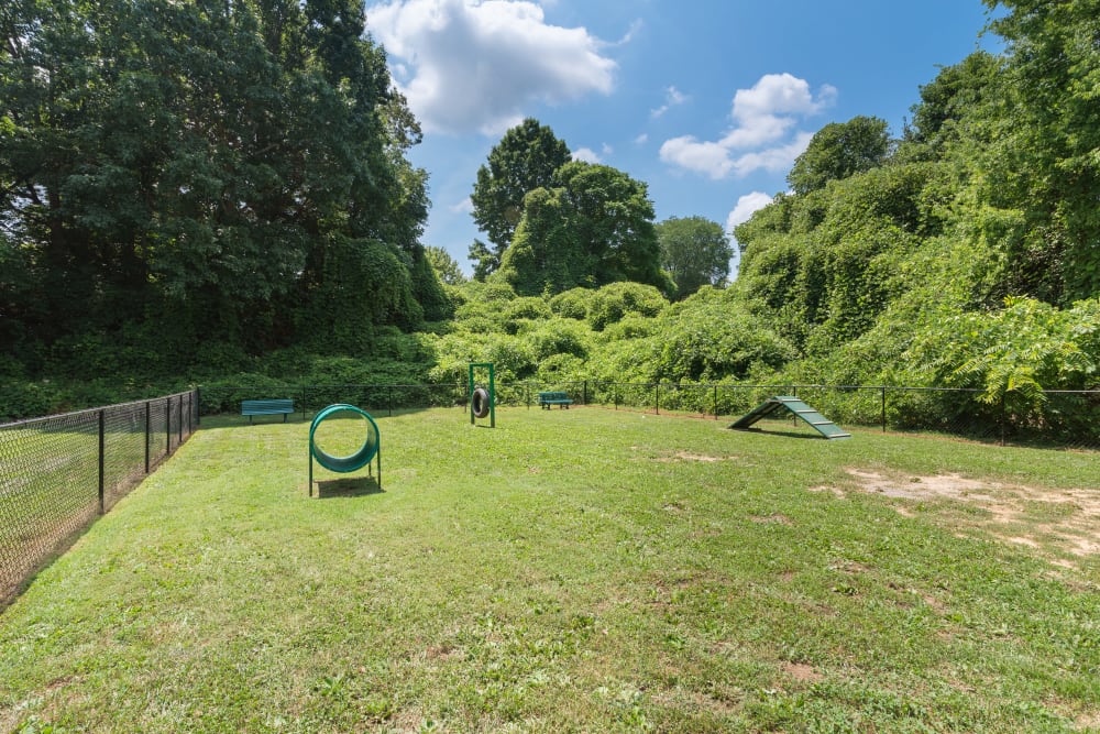 An onsite dog park with a picnic table at Goldelm at Cedar Bluff in Knoxville, Tennessee
