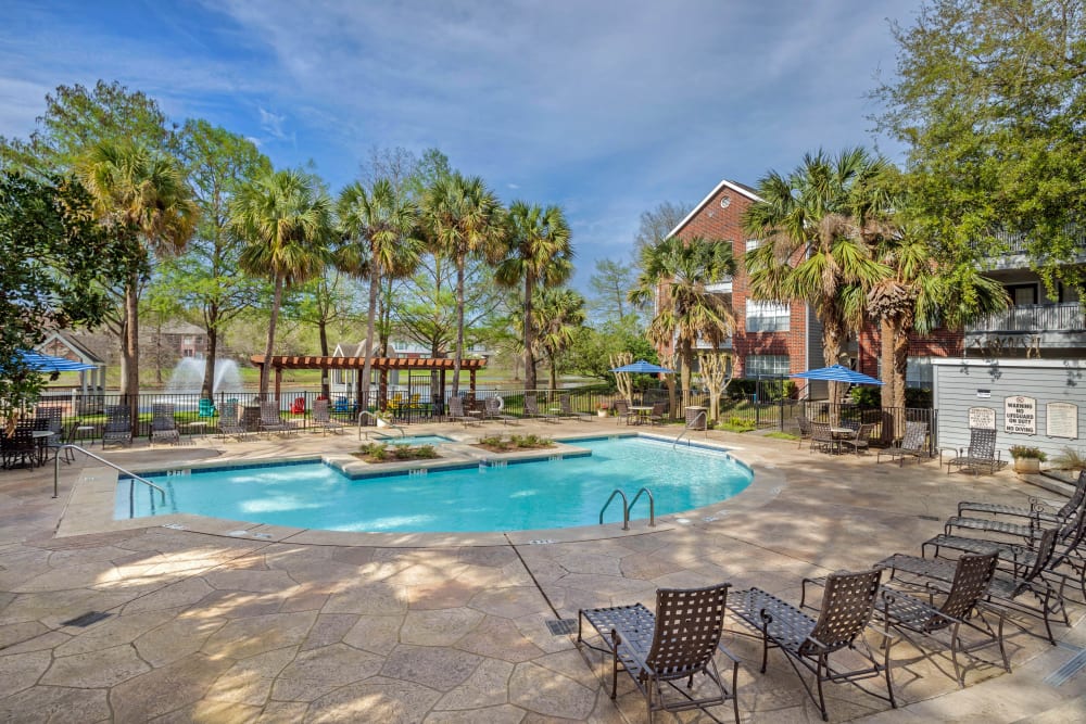 Lakeside swimming pool with expansive sundeck surrounded by palm trees at Foundations at Edgewater in Sugar Land, Texas