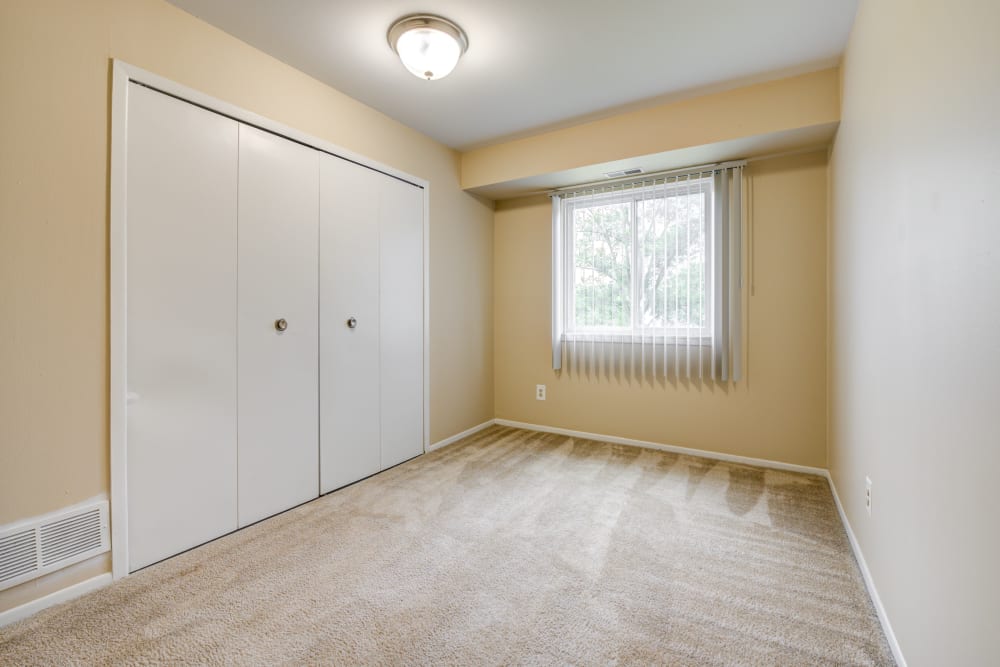 Ypsilanti, MI Apartments for Rent Chestnut Lake