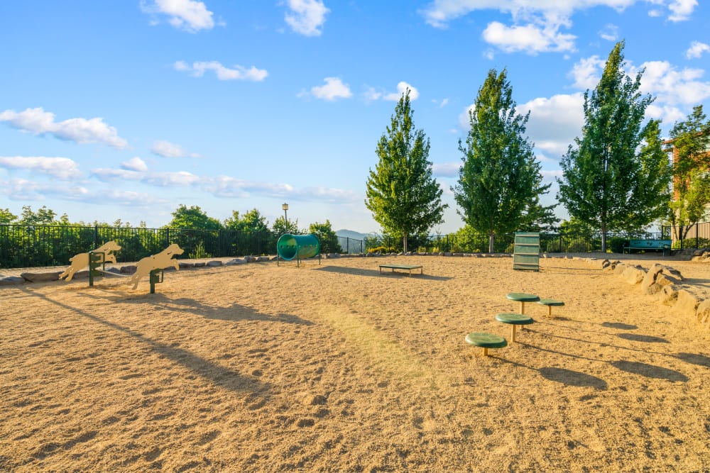 Onsite dog park at Altamont Summit in Happy Valley, Oregon