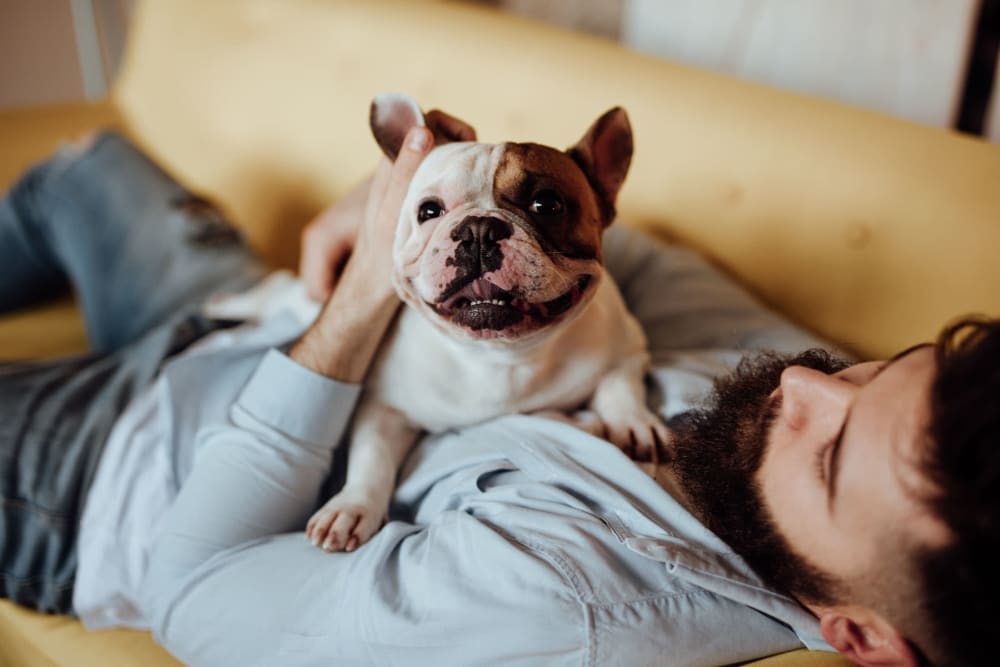 Happy pup and his owner relaxing on the couch in their apartment at The Retreat at Arden Village Apartments in Columbia, Tennessee