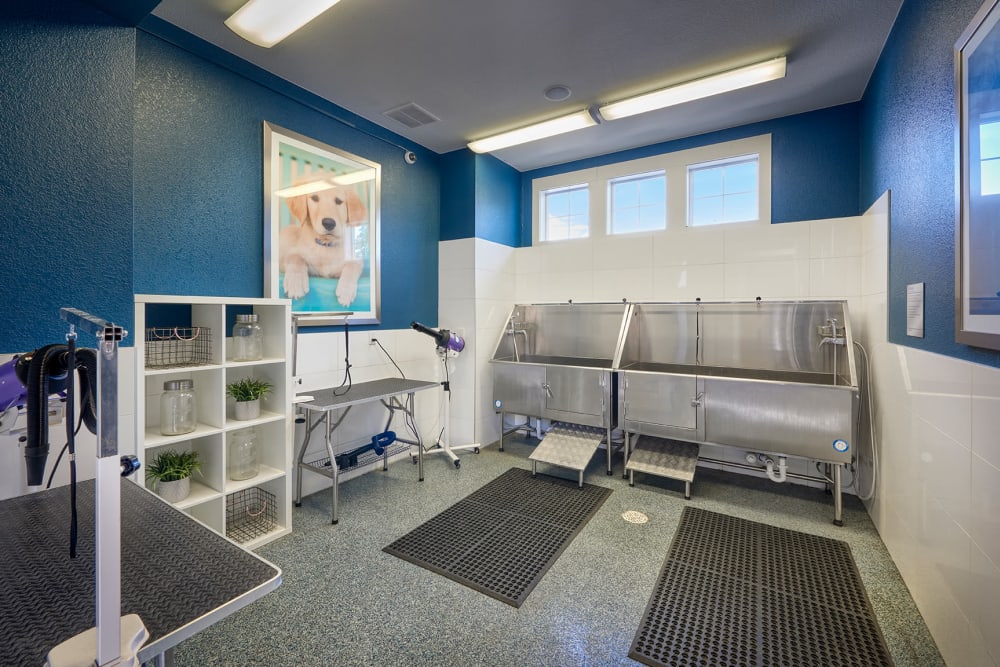 Clean your furry friend in the dog wash at Crestone Apartments in Aurora, Colorado