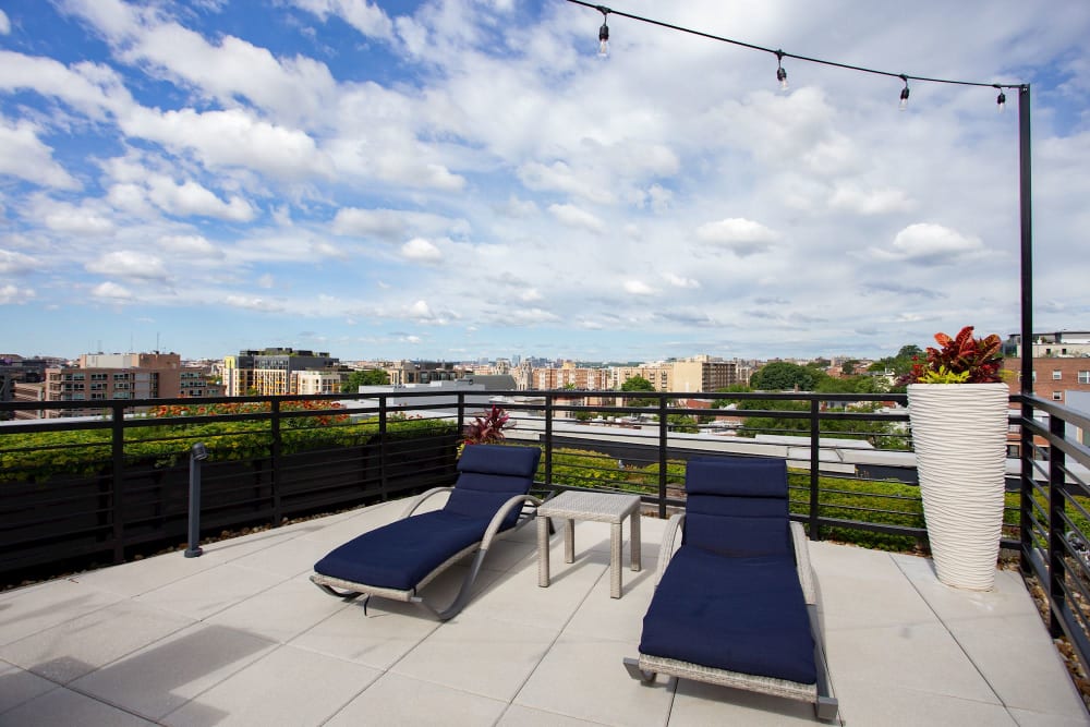 Lounge chairs outside on a beautiful day for residents to lay in at 1350 Florida in Washington, District of Columbia