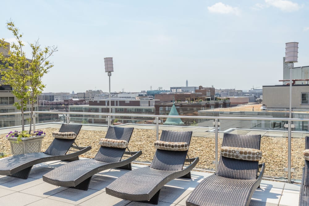 Lounge chairs lined up for residents to relax on the spacious rooftop area at Bristol House in Washington, District of Columbia