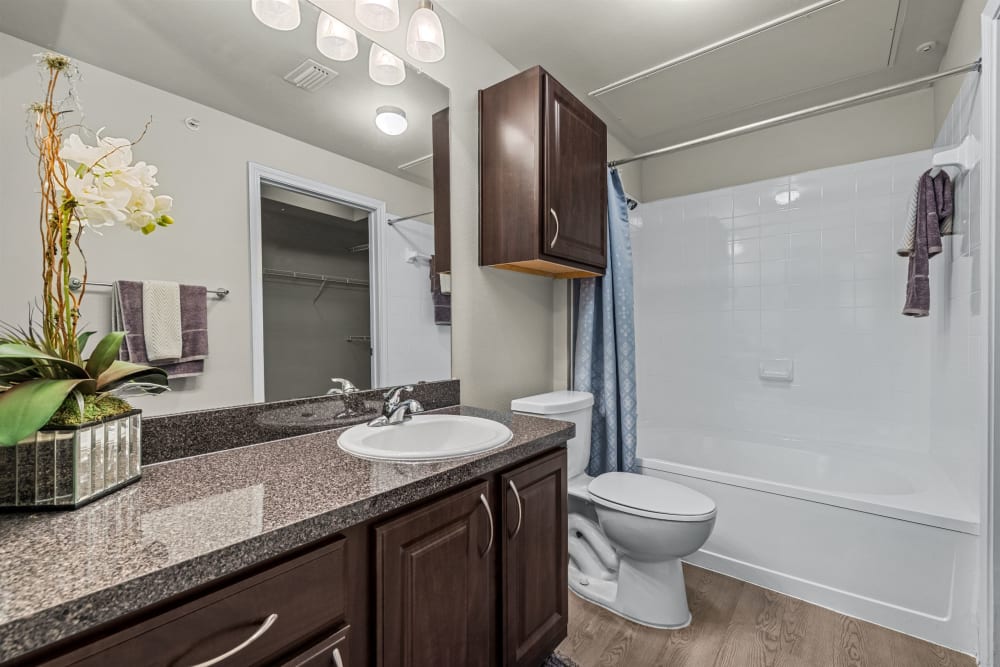Clean bathroom at Brooks on Preston in Plano, Texas