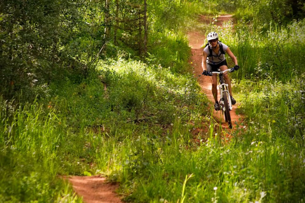 Biking trails near University Station Apartments in Denver, Colorado