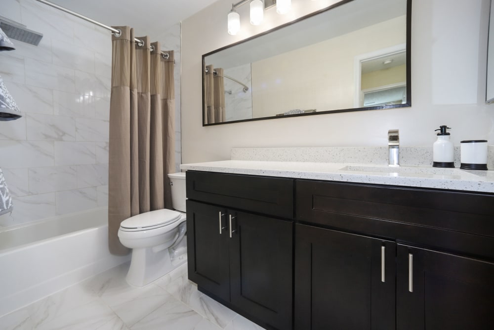 Very large counter space in the bathroom with a huge mirror above the vanity at Winston House in Washington, District of Columbia