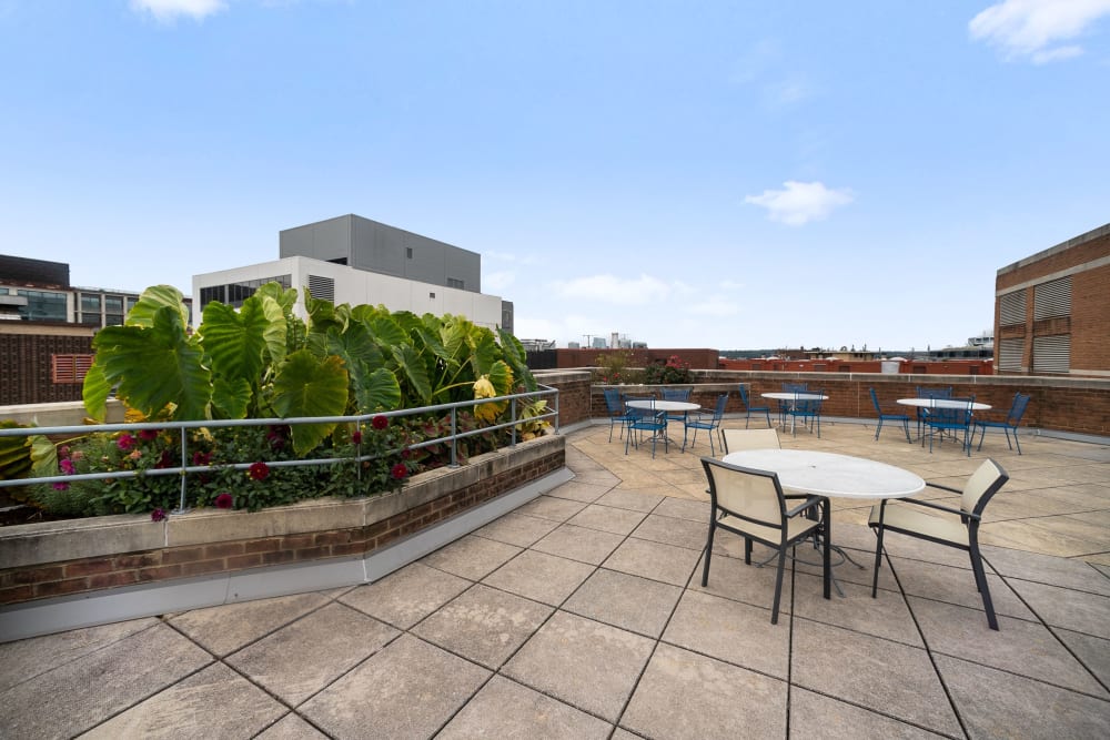 Rooftop lounge with plenty of seats and tables to hang out with your friends at Winston House in Washington, District of Columbia