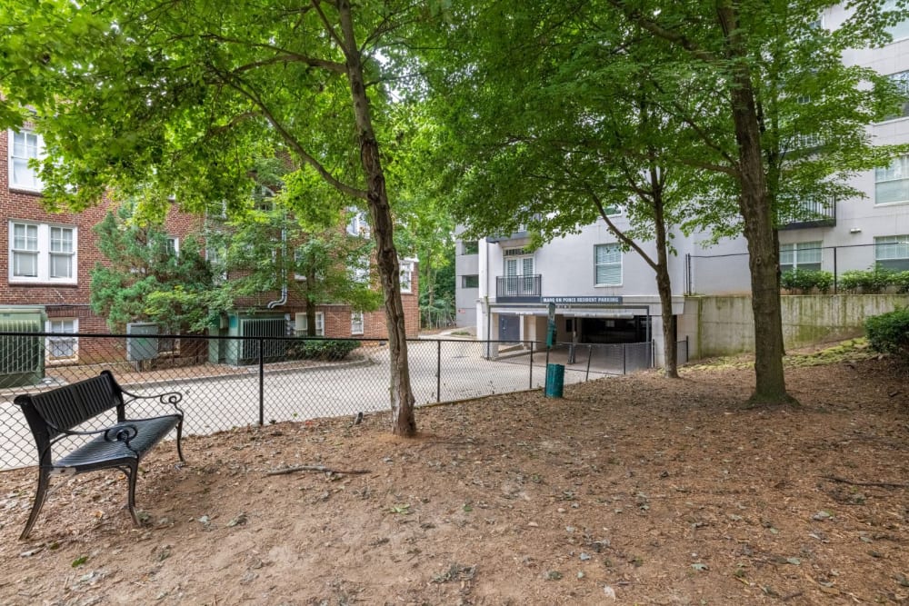 bench under a tree at Marq on Ponce in Atlanta, Georgia