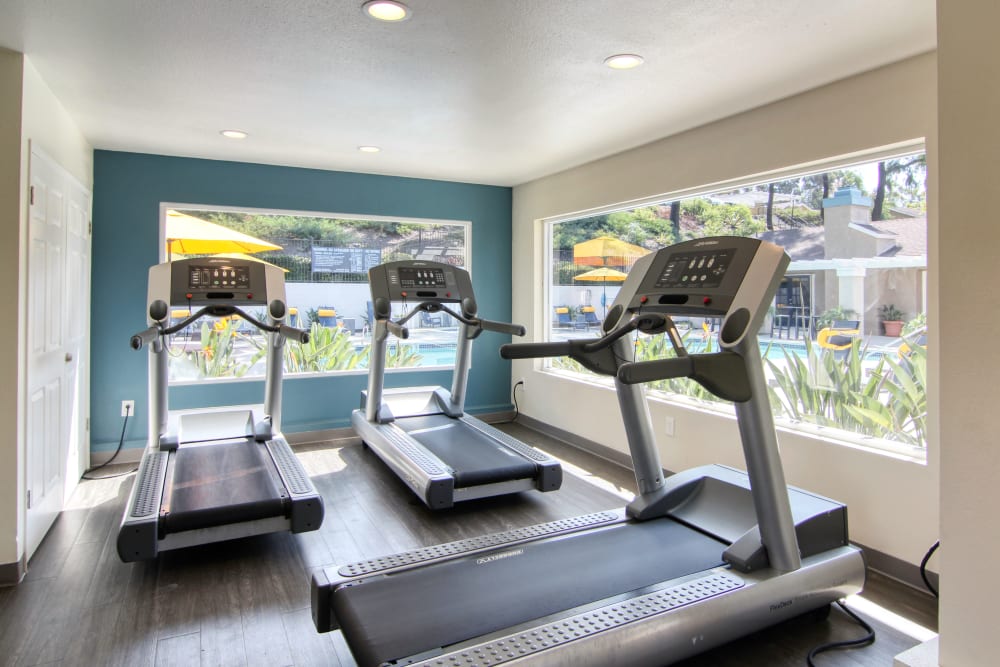 Clean, modern community gym at Lakeview Village Apartments in Spring Valley, California