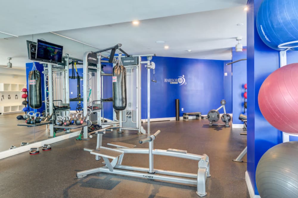 fitness center at The Royal Belmont in Belmont, Massachusetts