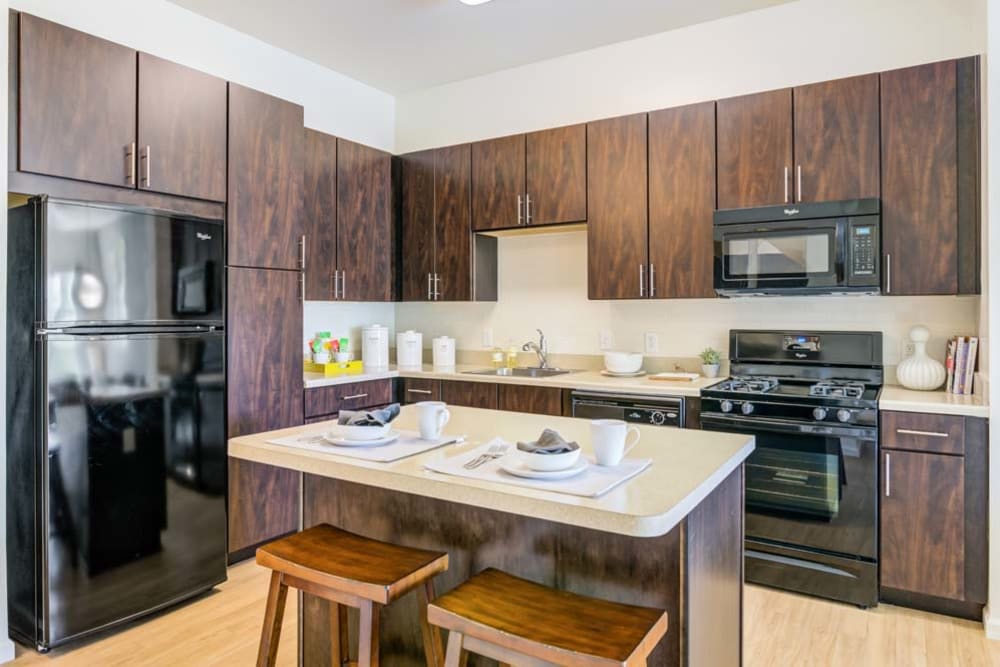 Spacious modern kitchen with black appliances, dark wood cabinets and Island seating at The Grove Somerset in Somerset, New Jersey