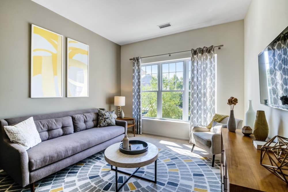 Living room space with comfortable couch and large windows for ample natural light at The Grove Somerset in Somerset, New Jersey
