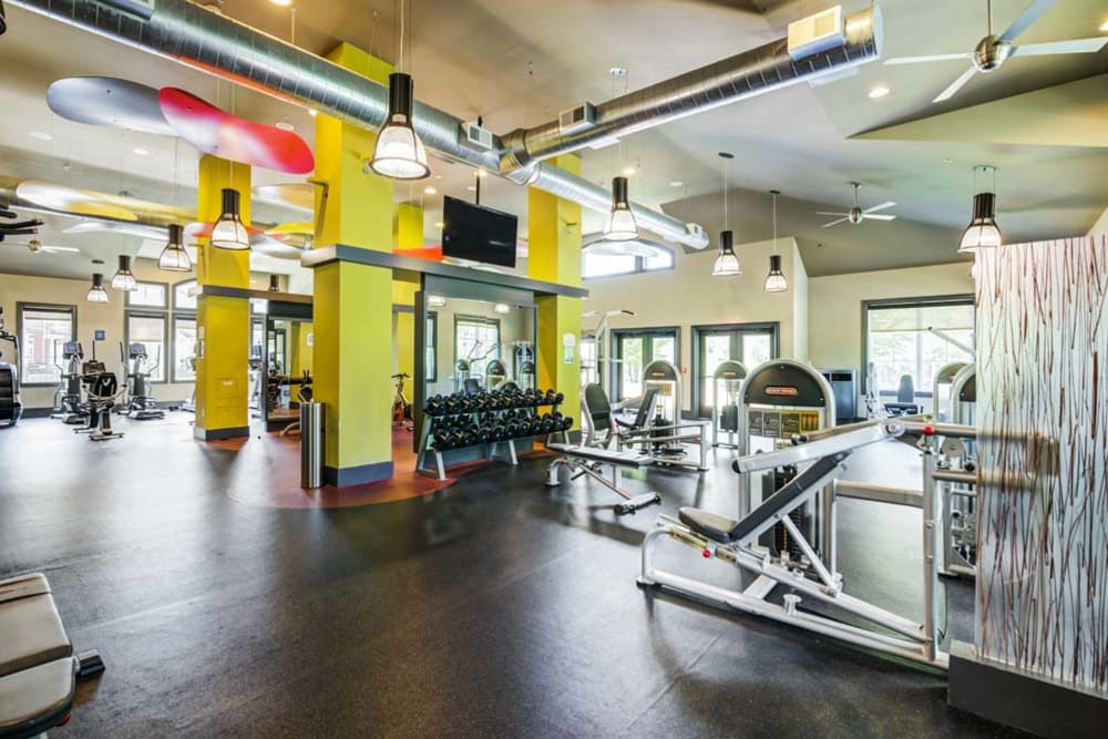 Spacious fitness center inside community clubhouse at The Grove Somerset in Somerset, New Jersey features modern workout equipment