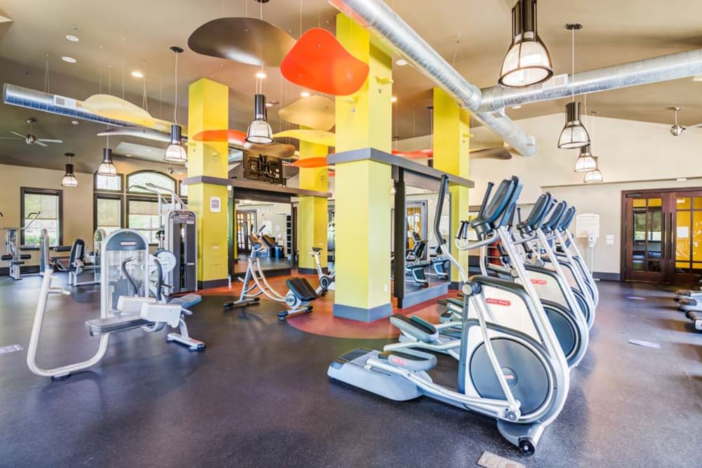 Community fitness center at The Grove Somerset in Somerset, New Jersey features treadmills, exercise bikes and other modern workout equipment