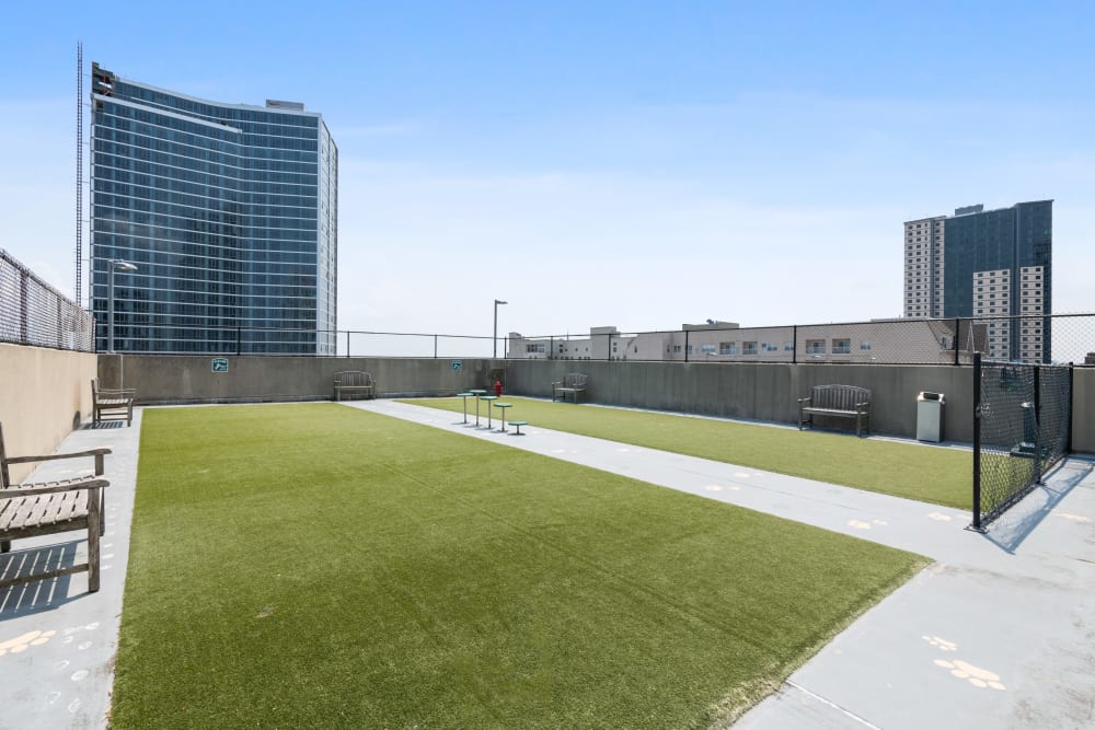 Roof top dog park at Skyline New Rochelle in New Rochelle, New York