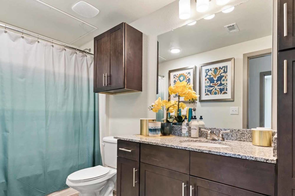 Model bathroom with granite countertops at The Residences at Panther Hollow in Marble Falls, Texas