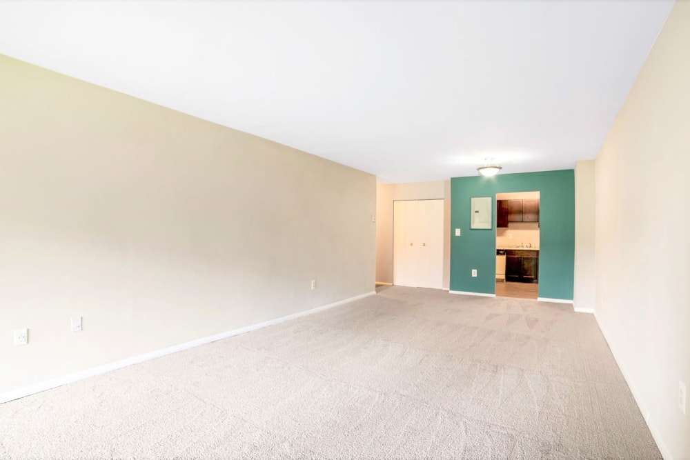 Accent wall outside the kitchen facing the living space of an apartment at Eagle Rock Apartments at Towson in Towson, Maryland