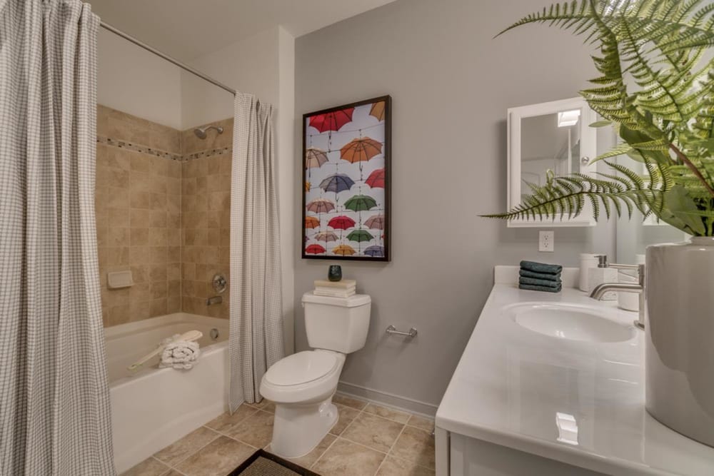 Lots of counter space in the bathroom and some cool artwork on the wall in a model home at The Flats at West Broad Village in Glen Allen, Virginia