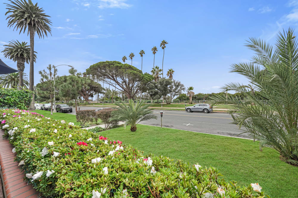 Flowers and palm trees outside of Meridian at Ocean Villa & Bella Mar in Santa Monica, California